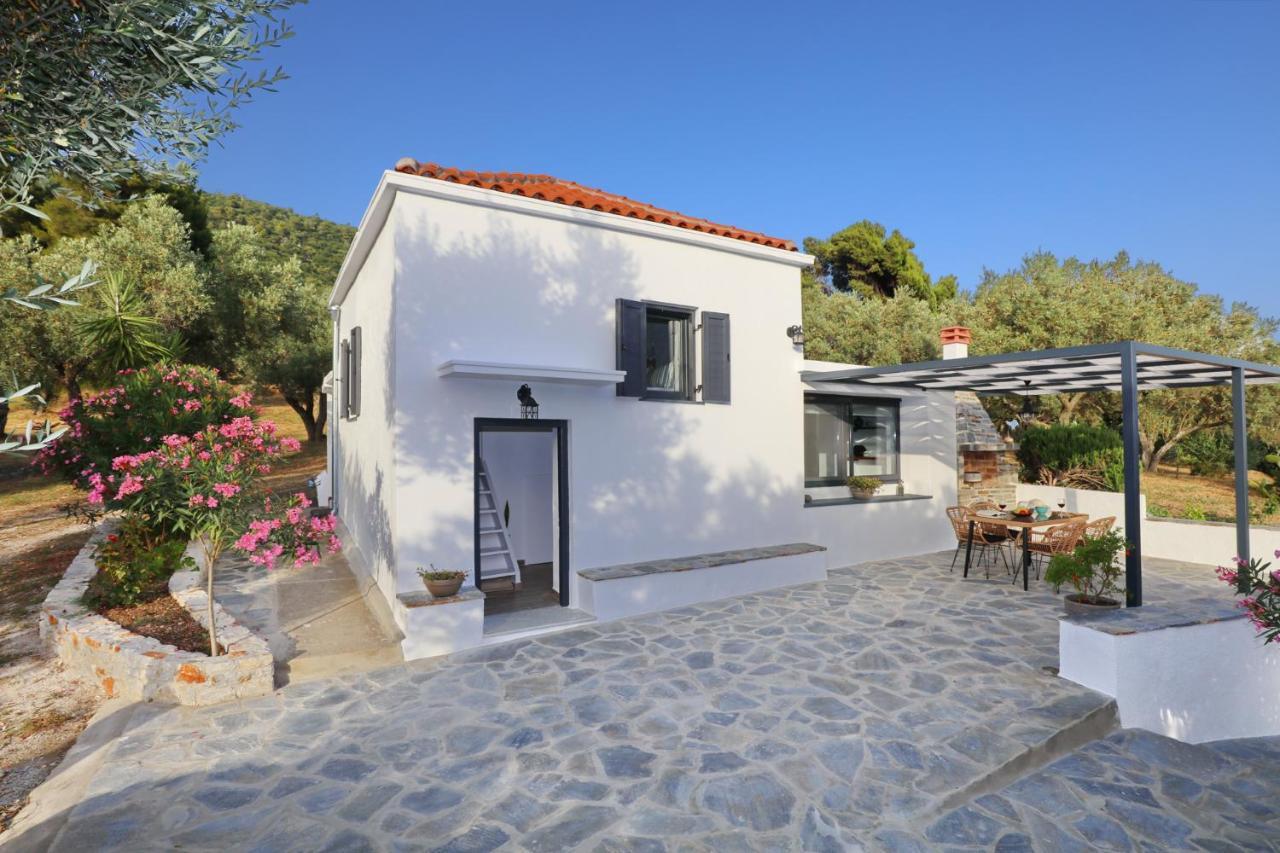 Villa John'S Skopelos Stafilos Eksteriør bilde
